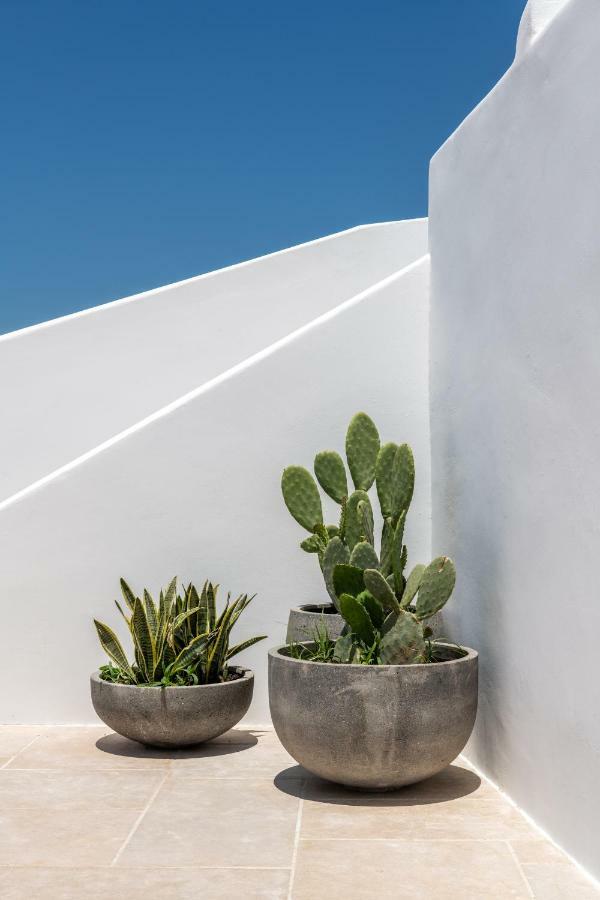 Hotel Avra Mykonos Tourlos Zewnętrze zdjęcie